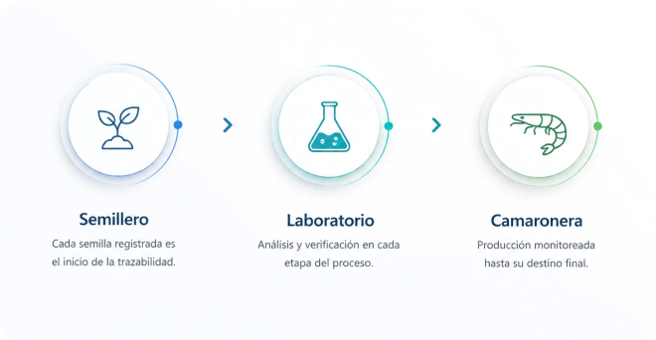 Trazabilidad del lote